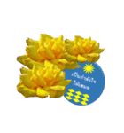 FLOWER TODAY（個別スタンプ：8）