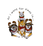 Shiba Inu Sisters and friends - 4（個別スタンプ：8）