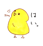 ひよひよ LIFE ！（個別スタンプ：7）