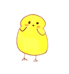 ひよひよ LIFE ！（個別スタンプ：9）
