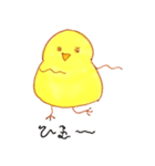 ひよひよ LIFE ！（個別スタンプ：16）