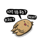 Ginseng life（個別スタンプ：7）