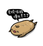 Ginseng life（個別スタンプ：19）