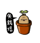 Ginseng life（個別スタンプ：22）