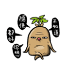 Ginseng life（個別スタンプ：37）