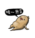 Ginseng life（個別スタンプ：39）