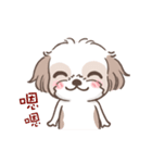 King ＆ Bow 4 (Lovely Shih Tzu)（個別スタンプ：7）