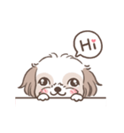 King ＆ Bow 4 (Lovely Shih Tzu)（個別スタンプ：13）