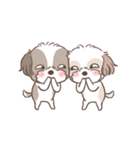 King ＆ Bow 4 (Lovely Shih Tzu)（個別スタンプ：15）