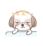 King ＆ Bow 4 (Lovely Shih Tzu)（個別スタンプ：23）