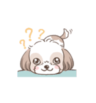 King ＆ Bow 4 (Lovely Shih Tzu)（個別スタンプ：24）