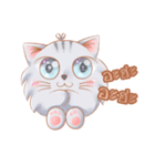 ShiroCat（個別スタンプ：9）