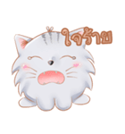 ShiroCat（個別スタンプ：13）