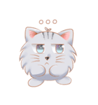 ShiroCat（個別スタンプ：15）