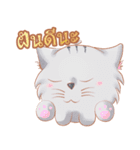 ShiroCat（個別スタンプ：17）