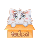 ShiroCat（個別スタンプ：18）