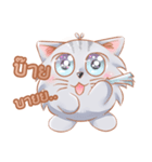 ShiroCat（個別スタンプ：20）