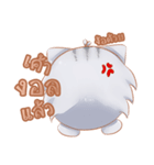 ShiroCat（個別スタンプ：21）