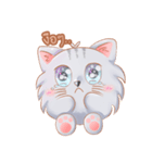 ShiroCat（個別スタンプ：27）