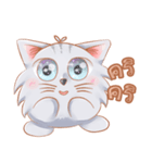 ShiroCat（個別スタンプ：28）