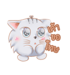 ShiroCat（個別スタンプ：31）