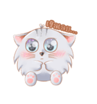 ShiroCat（個別スタンプ：32）