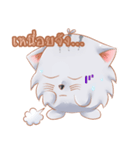ShiroCat（個別スタンプ：33）