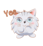 ShiroCat（個別スタンプ：38）