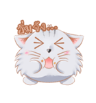 ShiroCat（個別スタンプ：40）