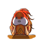 Goldfish brain（個別スタンプ：5）