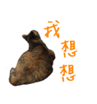 miao miao miao miao（個別スタンプ：20）