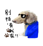 dooooog vol.2（個別スタンプ：5）