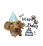 dooooog vol.2（個別スタンプ：6）