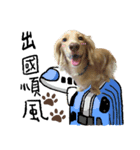 dooooog vol.2（個別スタンプ：8）