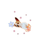 Doggy Dobby（個別スタンプ：3）