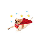 Doggy Dobby（個別スタンプ：4）