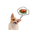 Doggy Dobby（個別スタンプ：6）