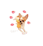 Doggy Dobby（個別スタンプ：8）