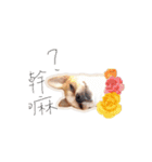 Doggy Dobby（個別スタンプ：9）