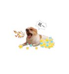 Doggy Dobby（個別スタンプ：11）