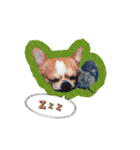 Doggy Dobby（個別スタンプ：12）