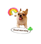 Doggy Dobby（個別スタンプ：13）