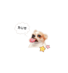 Doggy Dobby（個別スタンプ：15）