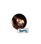 Doggy Dobby（個別スタンプ：16）