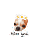 Doggy Dobby（個別スタンプ：18）