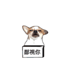 Doggy Dobby（個別スタンプ：25）