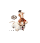 Doggy Dobby（個別スタンプ：26）