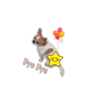 Doggy Dobby（個別スタンプ：28）