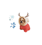 Doggy Dobby（個別スタンプ：33）