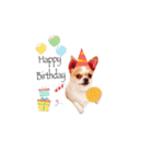 Doggy Dobby（個別スタンプ：34）